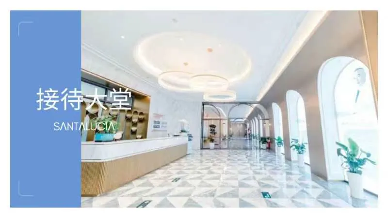Reception and arrival area
